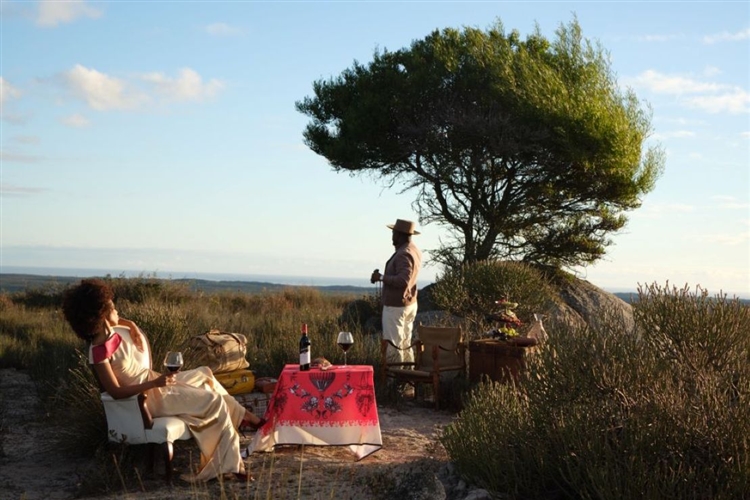 Pick n Pay Winemakers Table Virtual Tasting event in association with Nederburg
